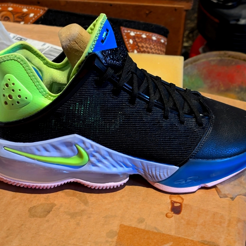 NWOT Nike LeBron 19 Low; Ghost Green